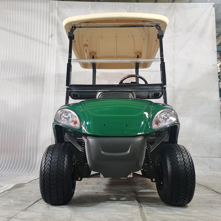 2-Seater Electric Golf Cart with Lithium Battery - Customizable Colors