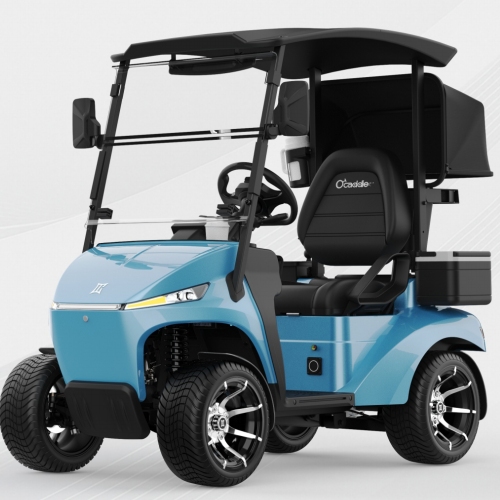Electric Golf Cart 48V Lithium Battery Street Legal 1.5KW AC Motor