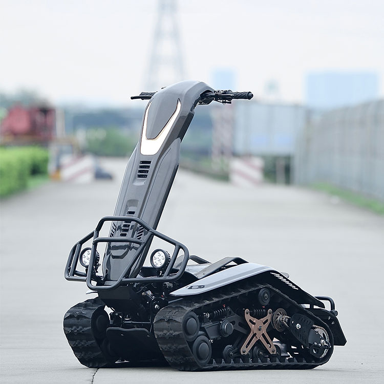 Electricl Track Vehicle Snow Mobile Snow Boarding with High-Performance