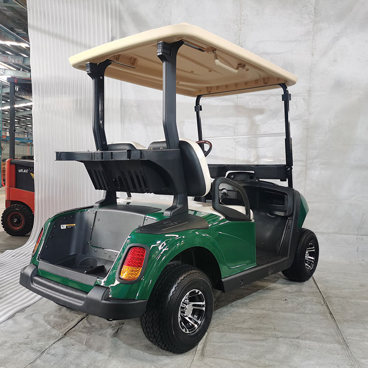 Multi-color 2 seater electric golf cart, equipped with lithium battery