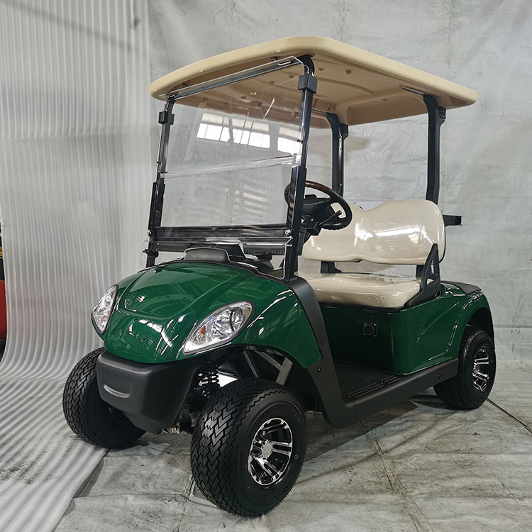 Practical 4-seater electric golf cart, equipped with 48V lithium battery